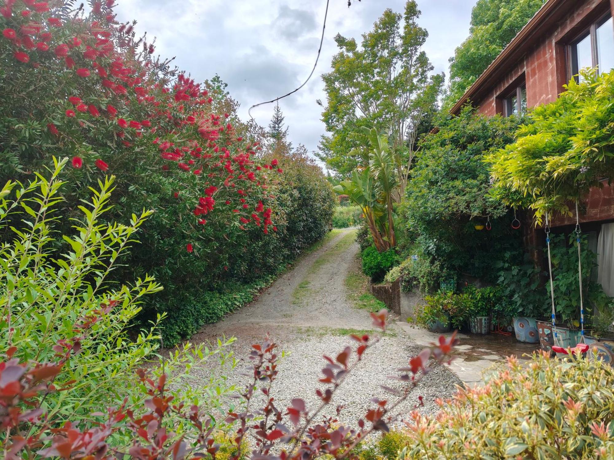 Apartamentos Rosa Jove Cabanas Luaran gambar